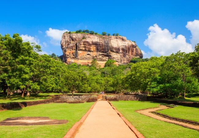 hill peak gif website 4